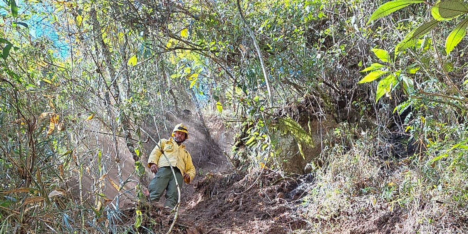 Parque Nacional do Itatiaia retoma visitação pública após incêndio