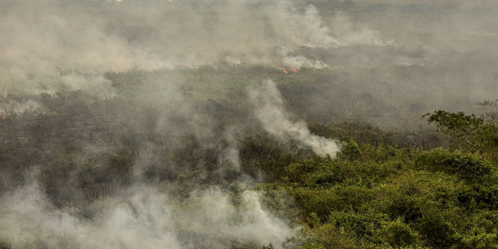 Força Nacional reforça equipe de combate a incêndios no Pantanal