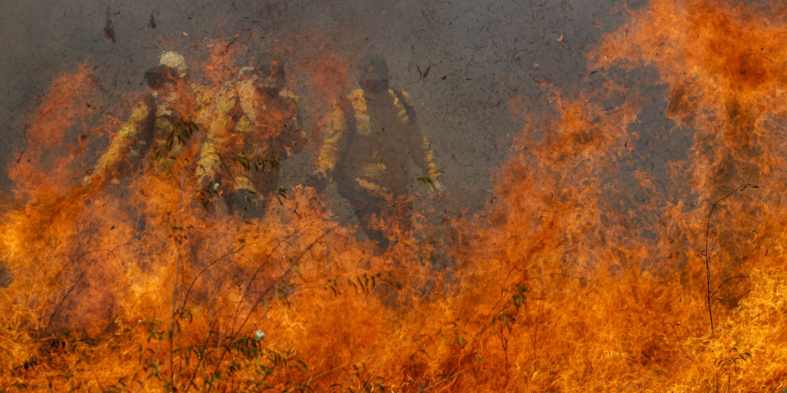 Pantanal acumula em 12 meses mais de 9 mil focos de incêndio