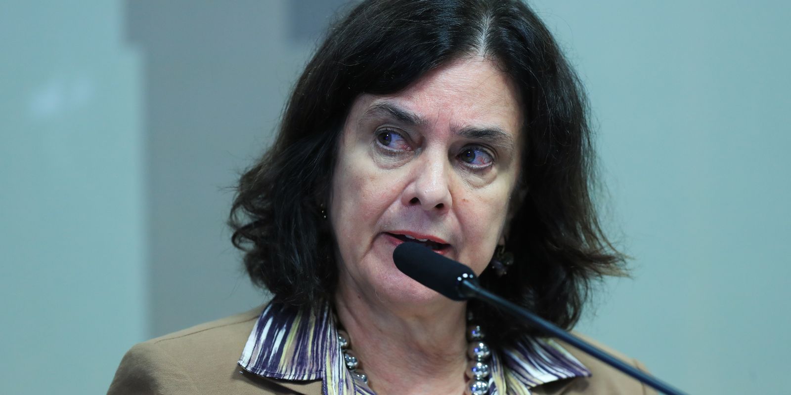 Ministra defende estratégias de combate à desinformação na saúde