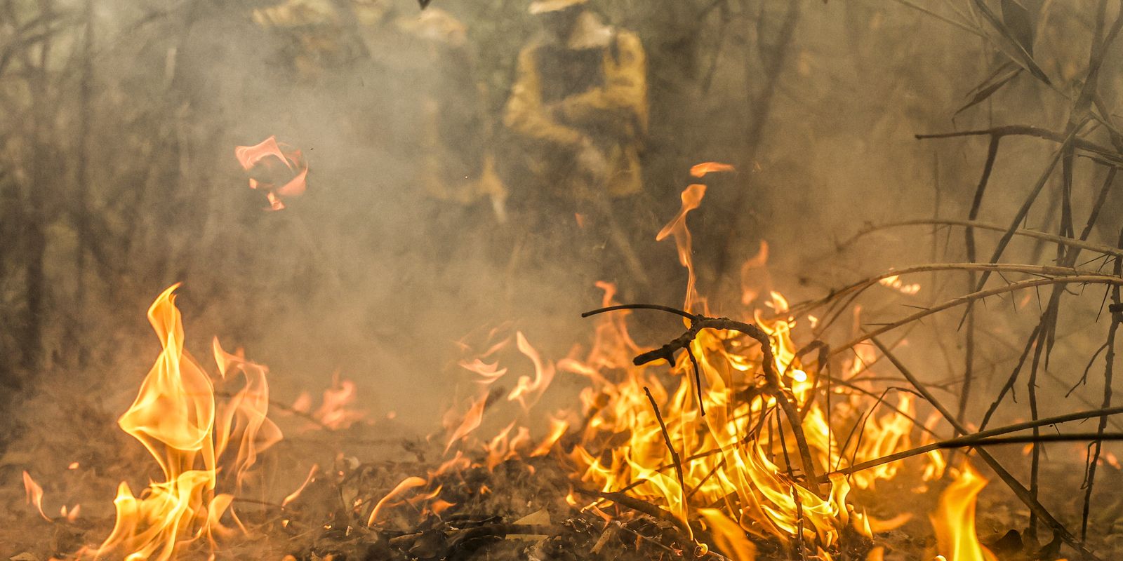 Focos de incêndio no Pantanal estão sob investigação, diz ministra