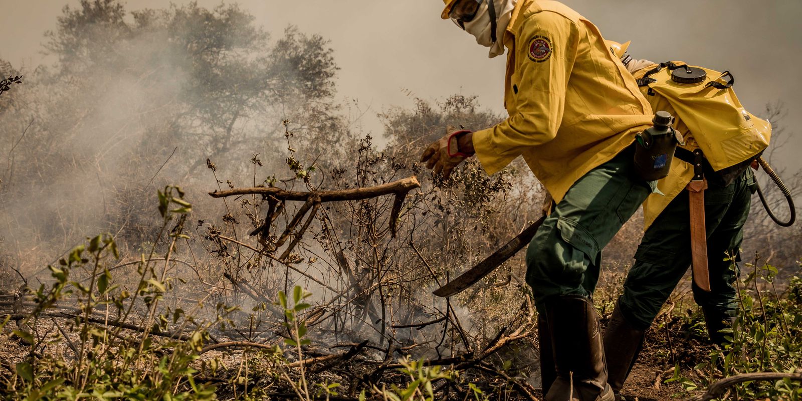 Incêndios no Pantanal já consumiram este ano mais de 15% do bioma