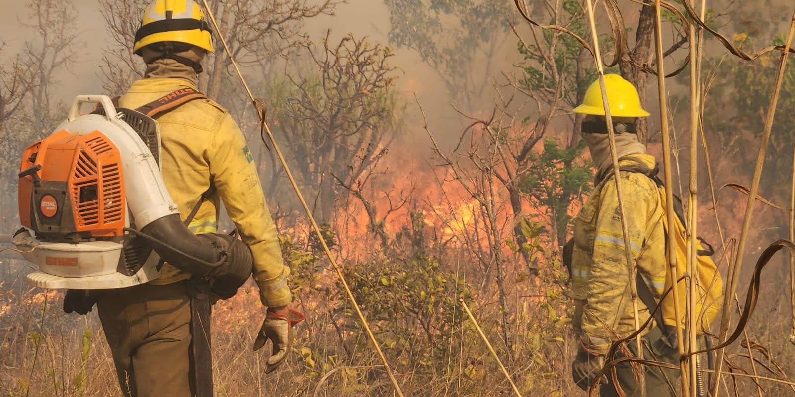 Ações do país evitaram cenário pior de secas e queimadas, diz Marina