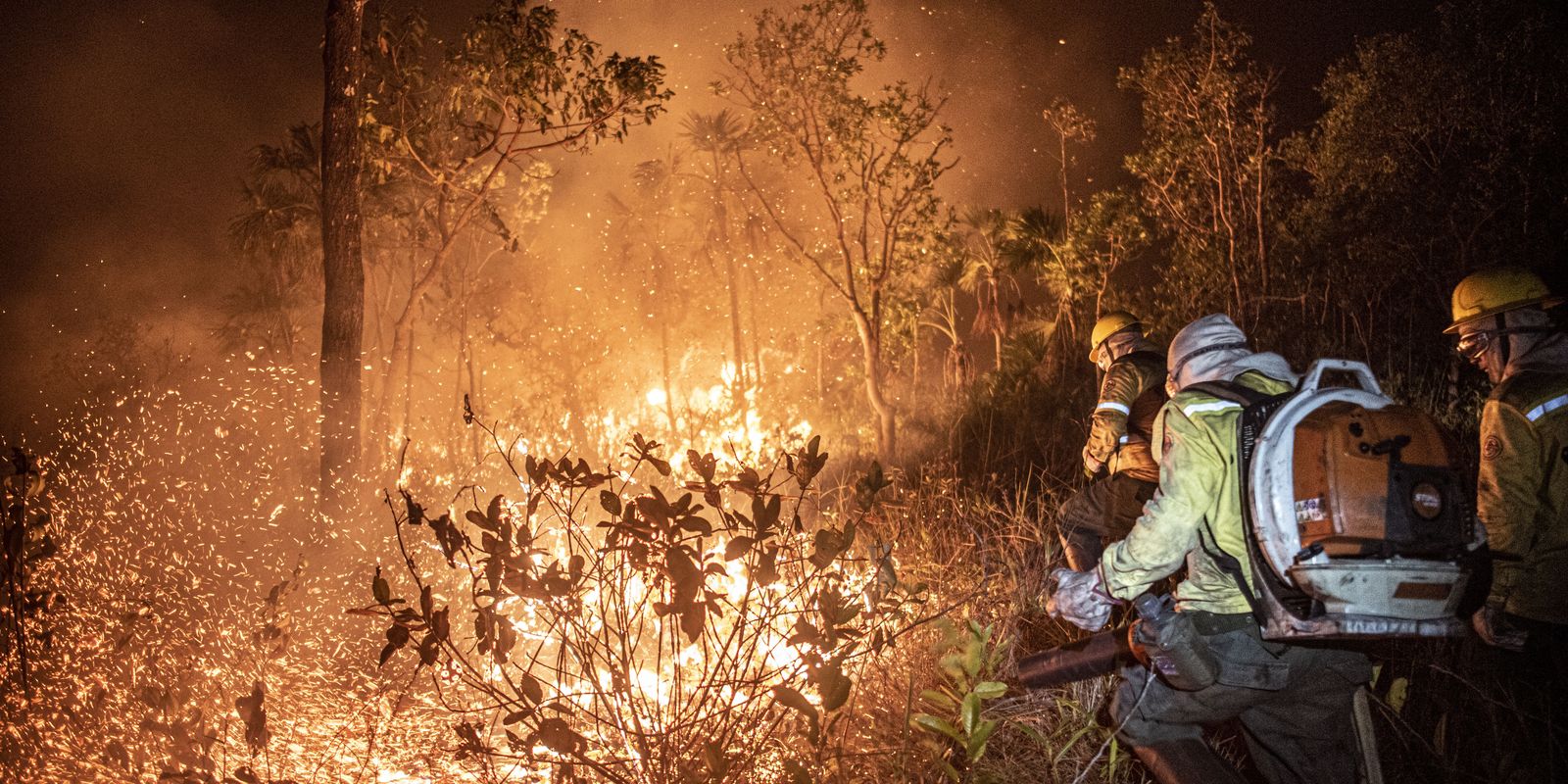 Manejo com fogo, contrafogo e queimada – entenda a diferença