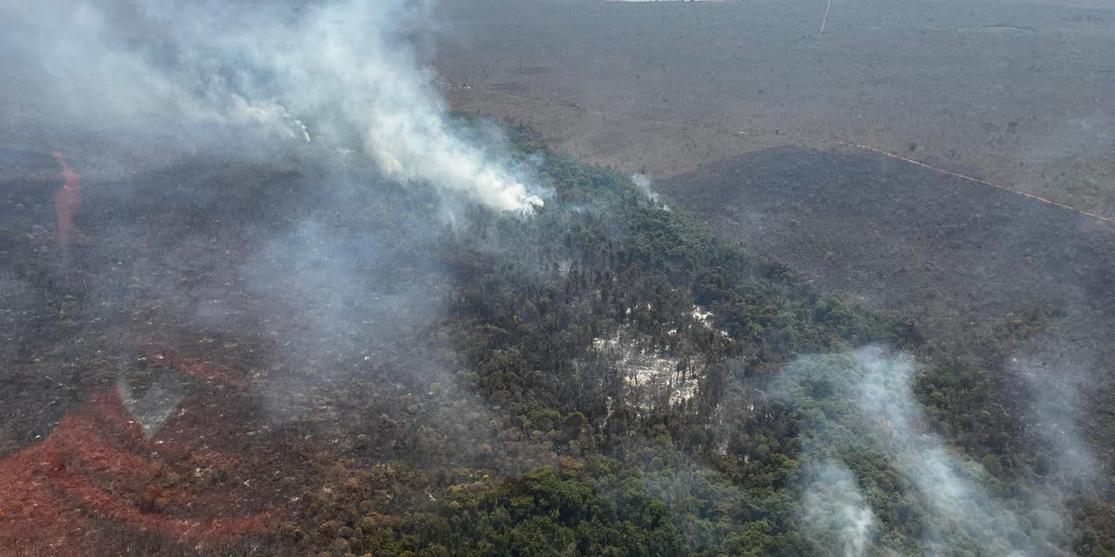 Incêndio florestal no Parque Nacional de Brasília está controlado