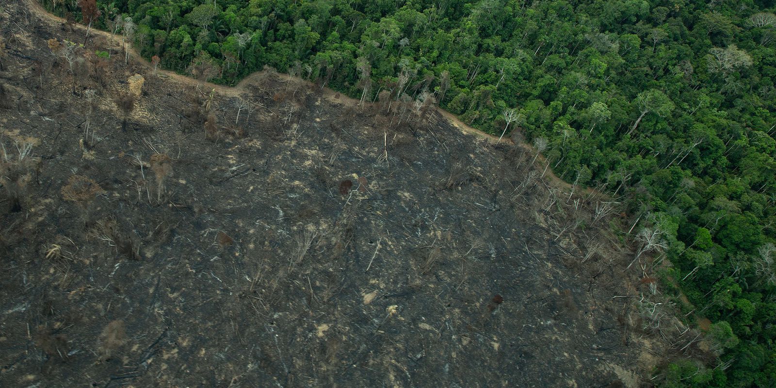 Greenpeace: imagens mostram novas áreas de garimpo em TIs na Amazônia