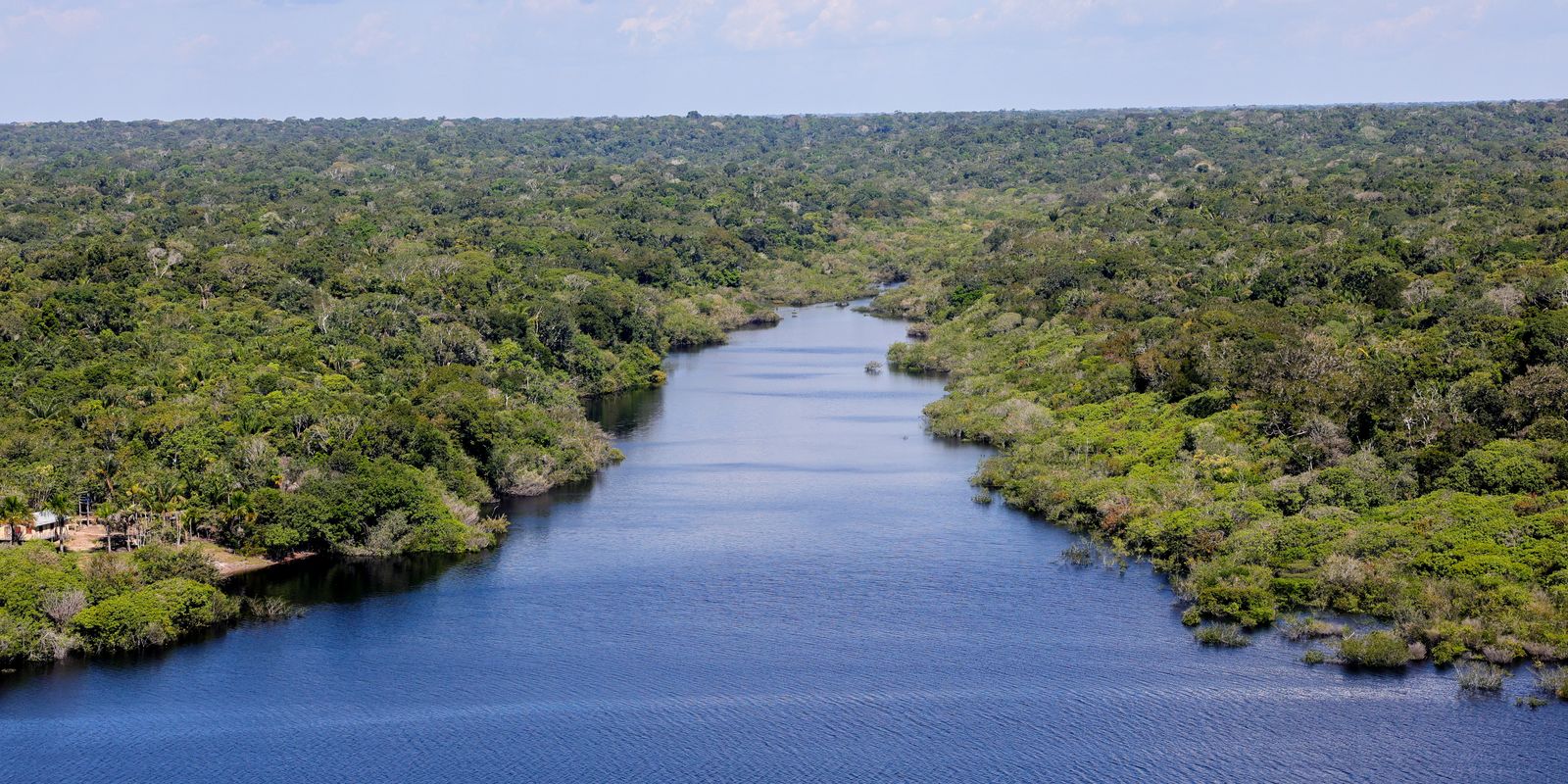 Organizações reivindicam participação nas tomadas de decisão da COP16