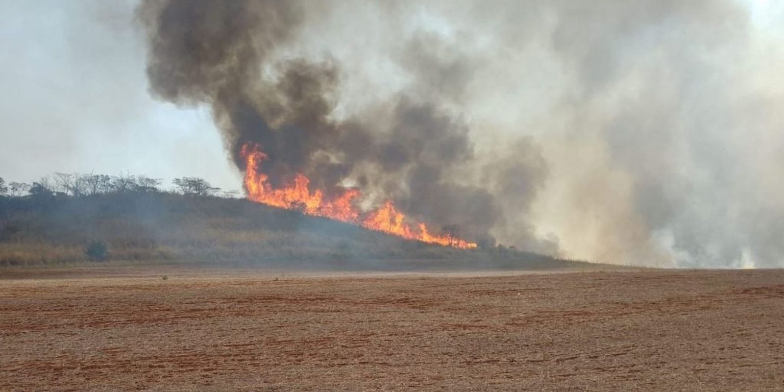 Brasileiros acham que economia pode ser devastada por eventos do clima