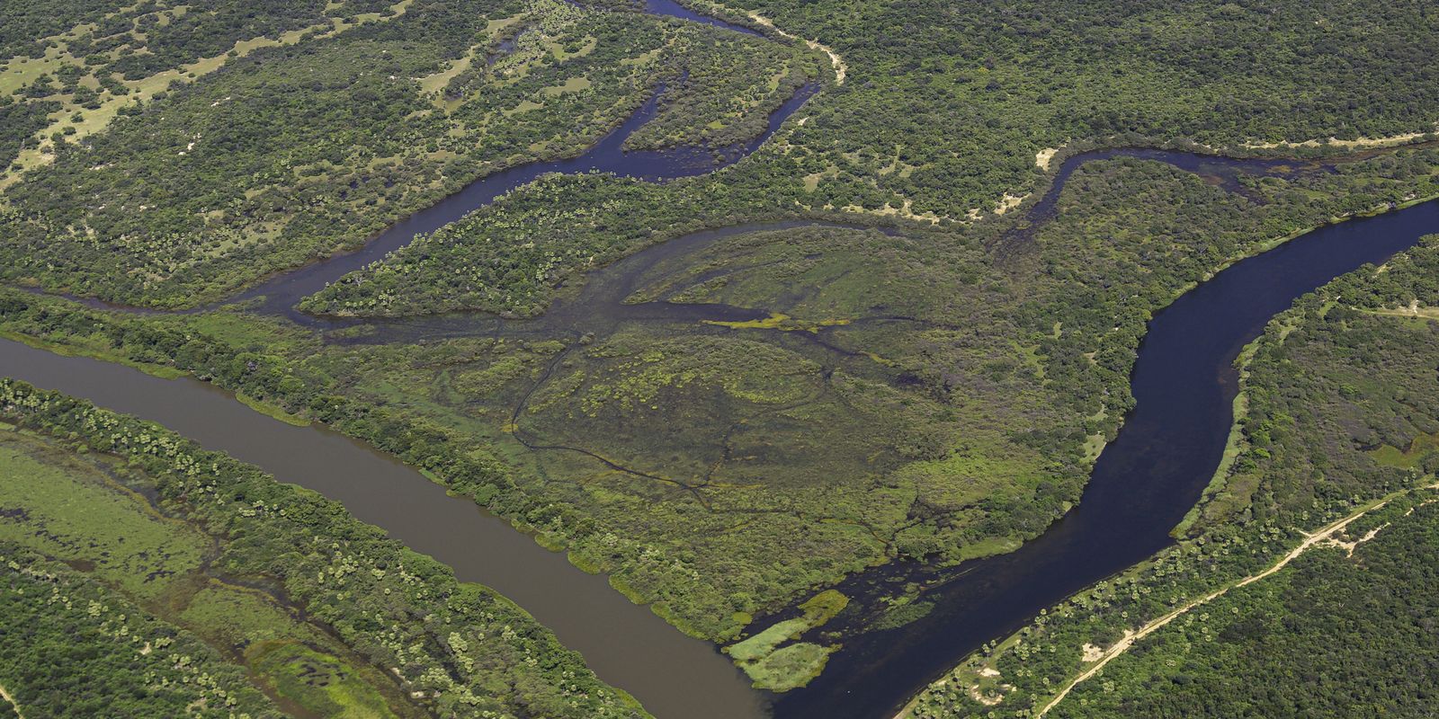 Maior parte da Mata Atlântica tem menos de 30% de vegetação nativa